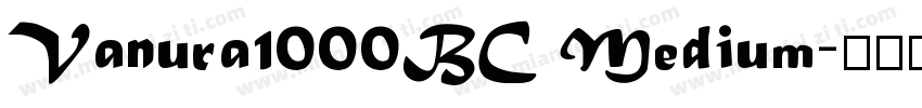 Vanura1000BC Medium字体转换
